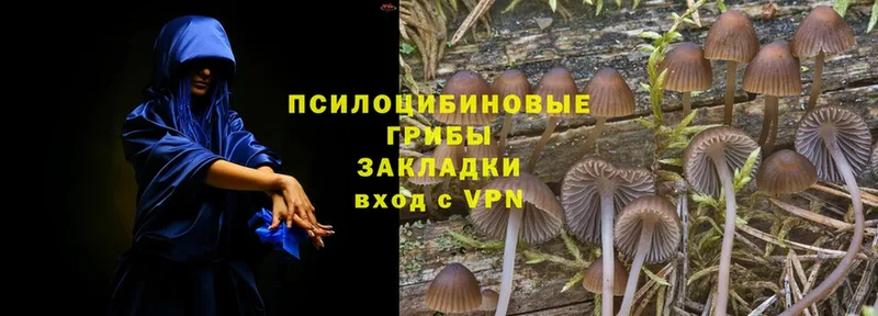 Псилоцибиновые грибы Magic Shrooms  Ивангород 